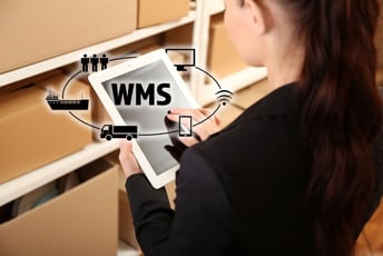 WMSとは?その役割と定義