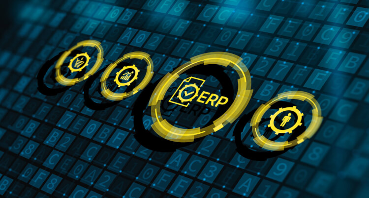 スタートアップ企業向けERPを導入して経営の効率化と内部統制の両立